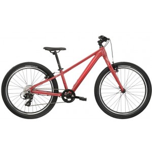 Dviratis KROSS Lea JR 1.0 B